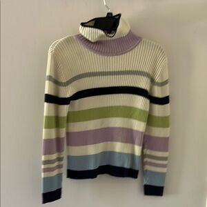 Striped Multicolor Turtleneck Sweater